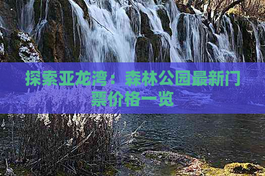 探索亚龙湾：森林公园最新门票价格一览