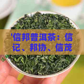 '信邦普洱茶：信记、邦协、信茂堂、友信精选'