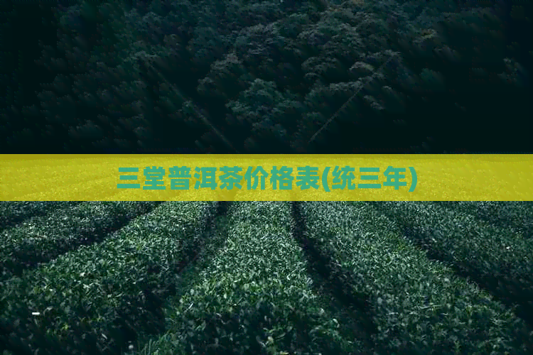 三堂普洱茶价格表(统三年)