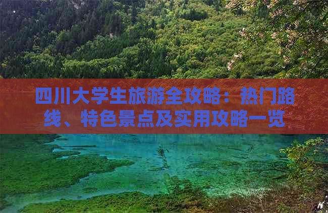 四川大学生旅游全攻略：热门路线、特色景点及实用攻略一览