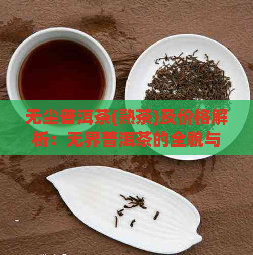 无尘普洱茶(熟茶)及价格解析：无界普洱茶的全貌与品鉴