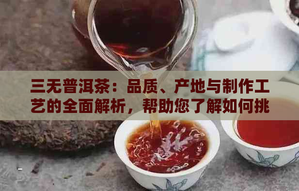 三无普洱茶：品质、产地与制作工艺的全面解析，帮助您了解如何挑选与品鉴