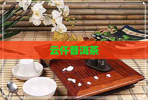 云仟普洱茶