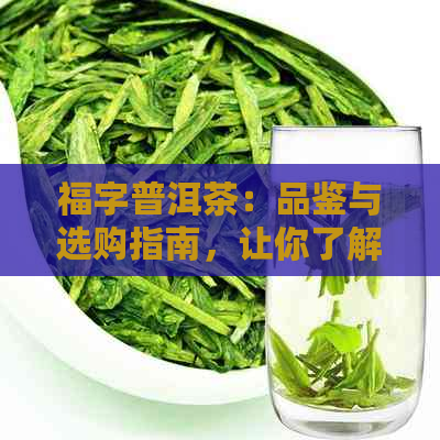 福字普洱茶：品鉴与选购指南，让你了解福字普洱茶的制作工艺、功效与泡法