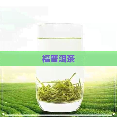 福普洱茶