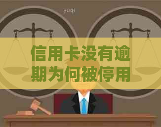 信用卡没有逾期为何被停用？可能是这些原因导致的！