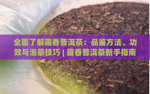 全面了解藏香普洱茶：品鉴方法、功效与泡茶技巧 | 藏香普洱茶新手指南