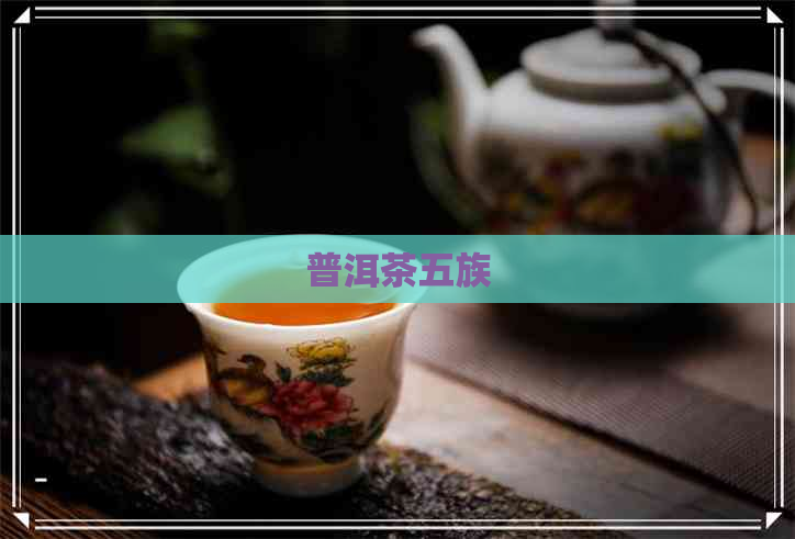 普洱茶五族