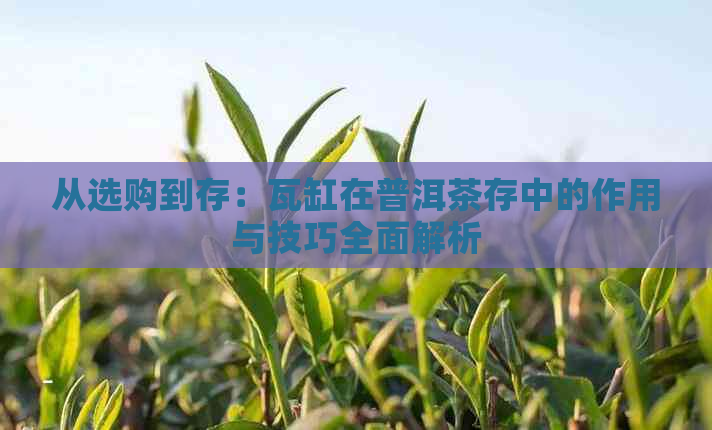 从选购到存：瓦缸在普洱茶存中的作用与技巧全面解析