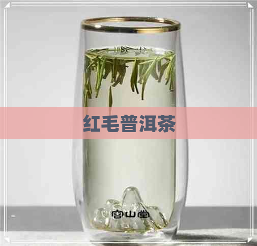 红毛普洱茶