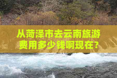 从菏泽市去云南旅游费用多少钱啊现在？