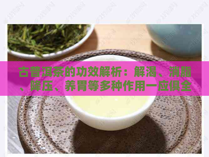 古普洱茶的功效解析：解渴、消脂、降压、养胃等多种作用一应俱全