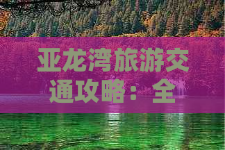 亚龙湾旅游交通攻略：全方位解析自驾、公交、出租车等多种出行方式