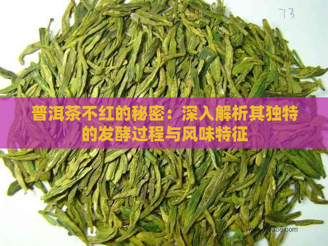 普洱茶不红的秘密：深入解析其独特的发酵过程与风味特征