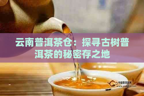 云南普洱茶仓：探寻古树普洱茶的秘密存之地