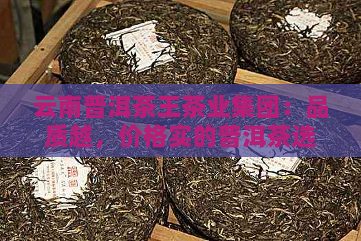 云南普洱茶王茶业集团：品质越，价格实的普洱茶选择