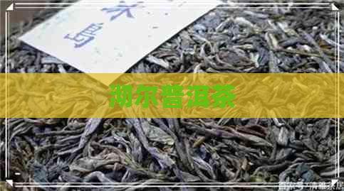 沏尔普洱茶