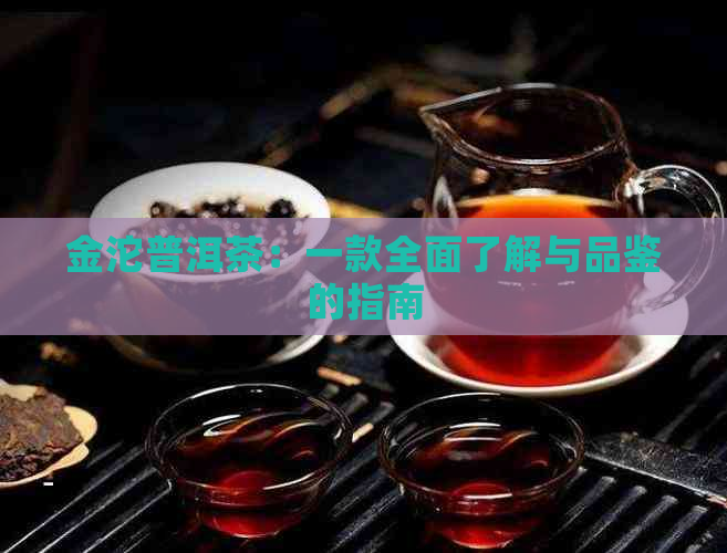 金沱普洱茶：一款全面了解与品鉴的指南