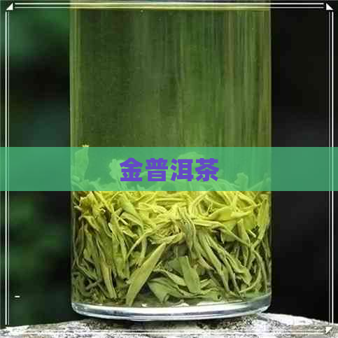 金普洱茶