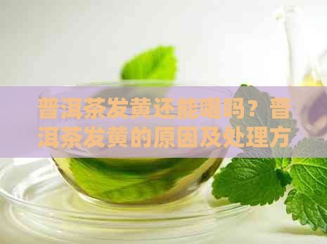 普洱茶发黄还能喝吗？普洱茶发黄的原因及处理方法。