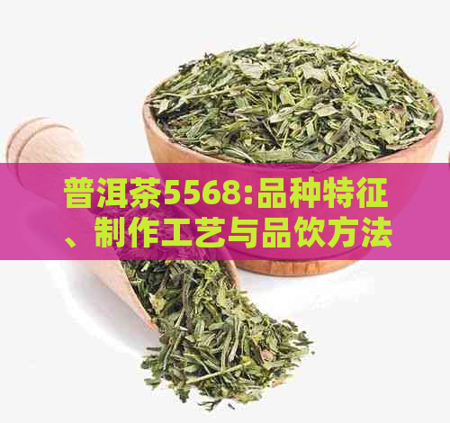 普洱茶5568:品种特征、制作工艺与品饮方法的全面解析，让你成为普洱茶专家