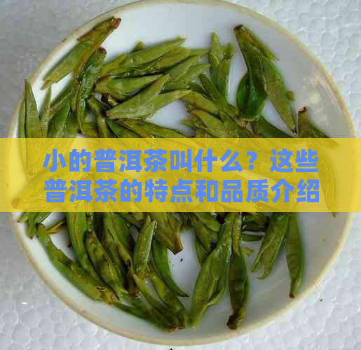 小的普洱茶叫什么？这些普洱茶的特点和品质介绍