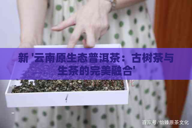 新 '云南原生态普洱茶：古树茶与生茶的完美融合'