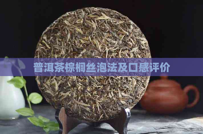 普洱茶棕榈丝泡法及口感评价