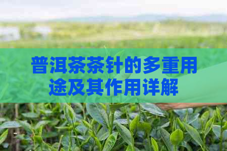 普洱茶茶针的多重用途及其作用详解