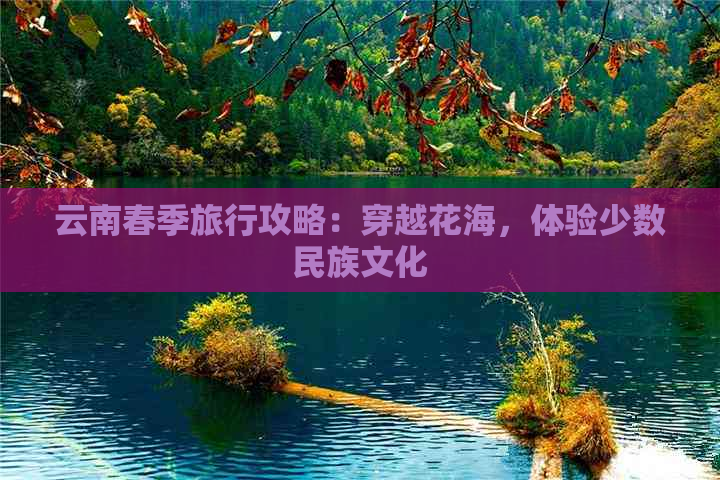 云南春季旅行攻略：穿越花海，体验少数民族文化