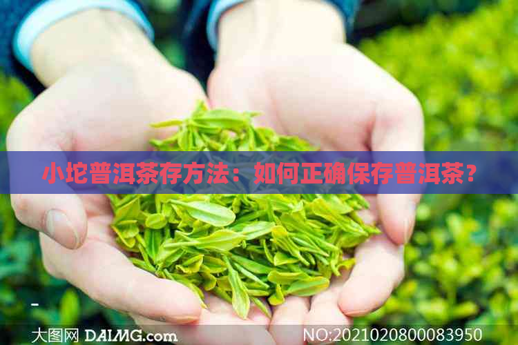 小坨普洱茶存方法：如何正确保存普洱茶？