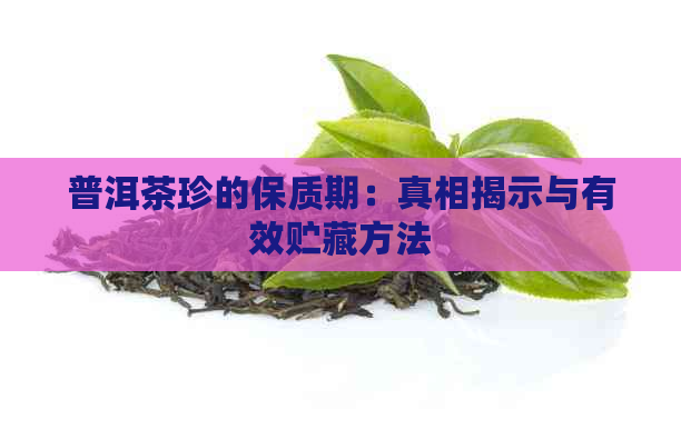 普洱茶珍的保质期：真相揭示与有效贮藏方法