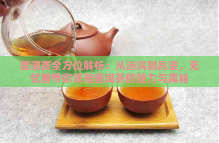 普洱茶全方位解析：从选购到品鉴，无忧居带你领略普洱茶的魅力与奥秘