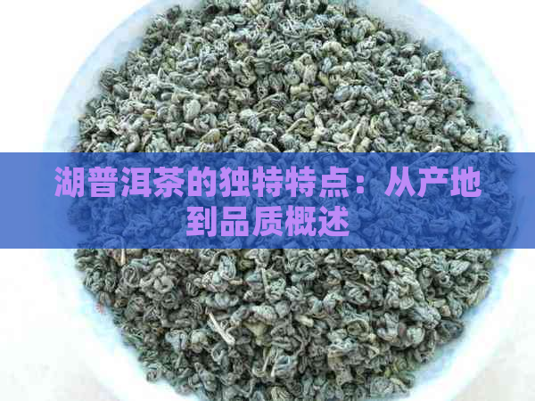 湖普洱茶的独特特点：从产地到品质概述