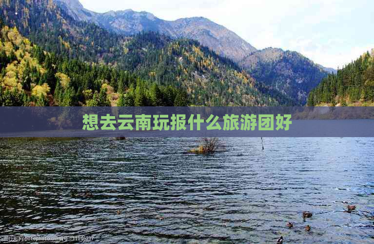 想去云南玩报什么旅游团好