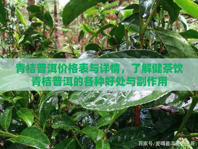 青桔普洱价格表与详情，了解健茶饮青桔普洱的各种好处与副作用