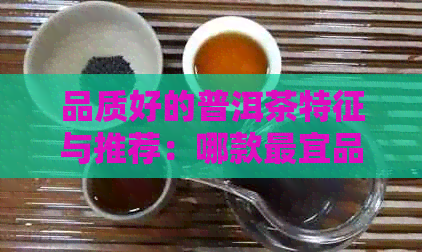 品质好的普洱茶特征与推荐：哪款最宜品鉴？