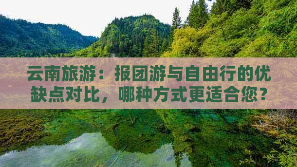 云南旅游：报团游与自由行的优缺点对比，哪种方式更适合您？