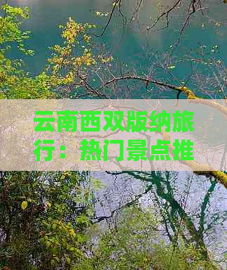 云南西双版纳旅行：热门景点推荐与避坑攻略