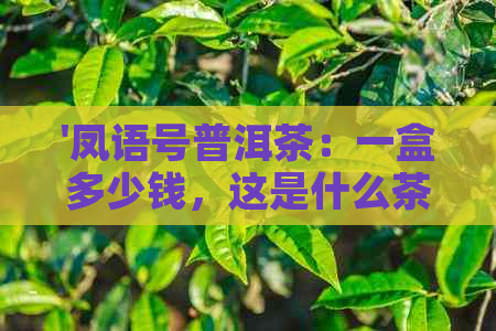 '凤语号普洱茶：一盒多少钱，这是什么茶，还有凤号普洱茶和凤语红茶'