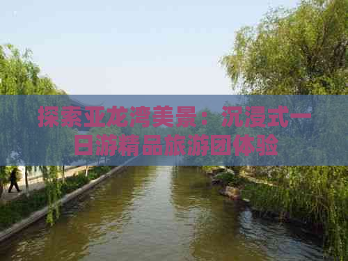 探索亚龙湾美景：沉浸式一日游精品旅游团体验