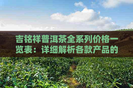 吉铭祥普洱茶全系列价格一览表：详细解析各款产品的价位及特点