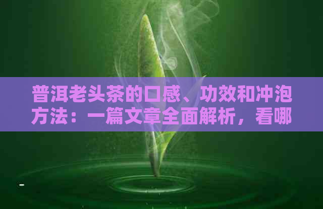 普洱老头茶的口感、功效和冲泡方法：一篇文章全面解析，看哪一款适合你