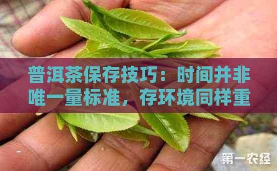 普洱茶保存技巧：时间并非唯一量标准，存环境同样重要