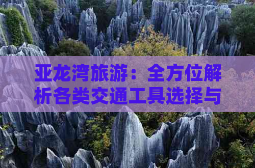 亚龙湾旅游：全方位解析各类交通工具选择与费用预算指南