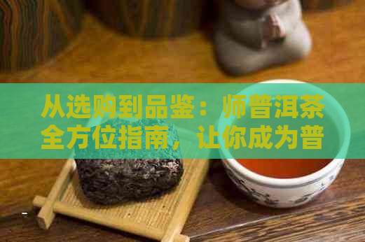 从选购到品鉴：师普洱茶全方位指南，让你成为普洱茶专家