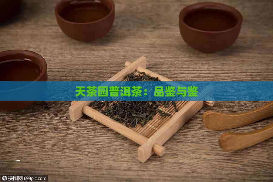 天茶园普洱茶：品鉴与鉴