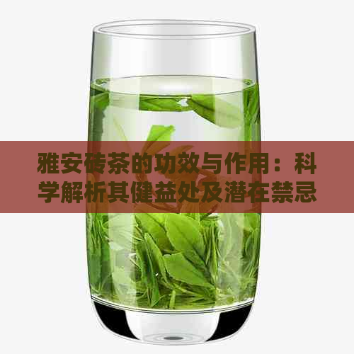 雅安砖茶的功效与作用：科学解析其健益处及潜在禁忌