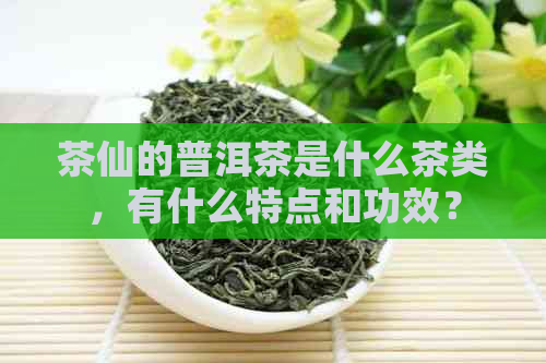 茶仙的普洱茶是什么茶类，有什么特点和功效？