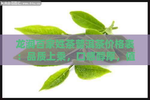 龙润百家姓茶普洱茶价格表：品质上乘，口感醇厚，值得品鉴！